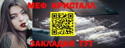 крисы Кингисепп