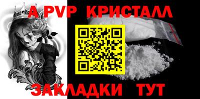 крисы Кингисепп