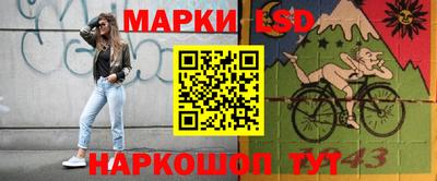 крисы Кингисепп