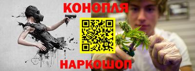 мяу мяу мука Кинель
