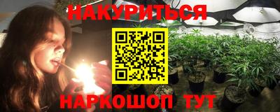 крисы Кингисепп