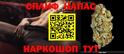крисы Кингисепп