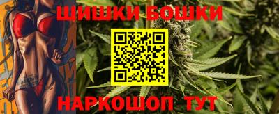 крисы Кингисепп