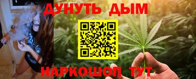 крисы Кингисепп