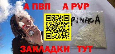 крисы Кингисепп